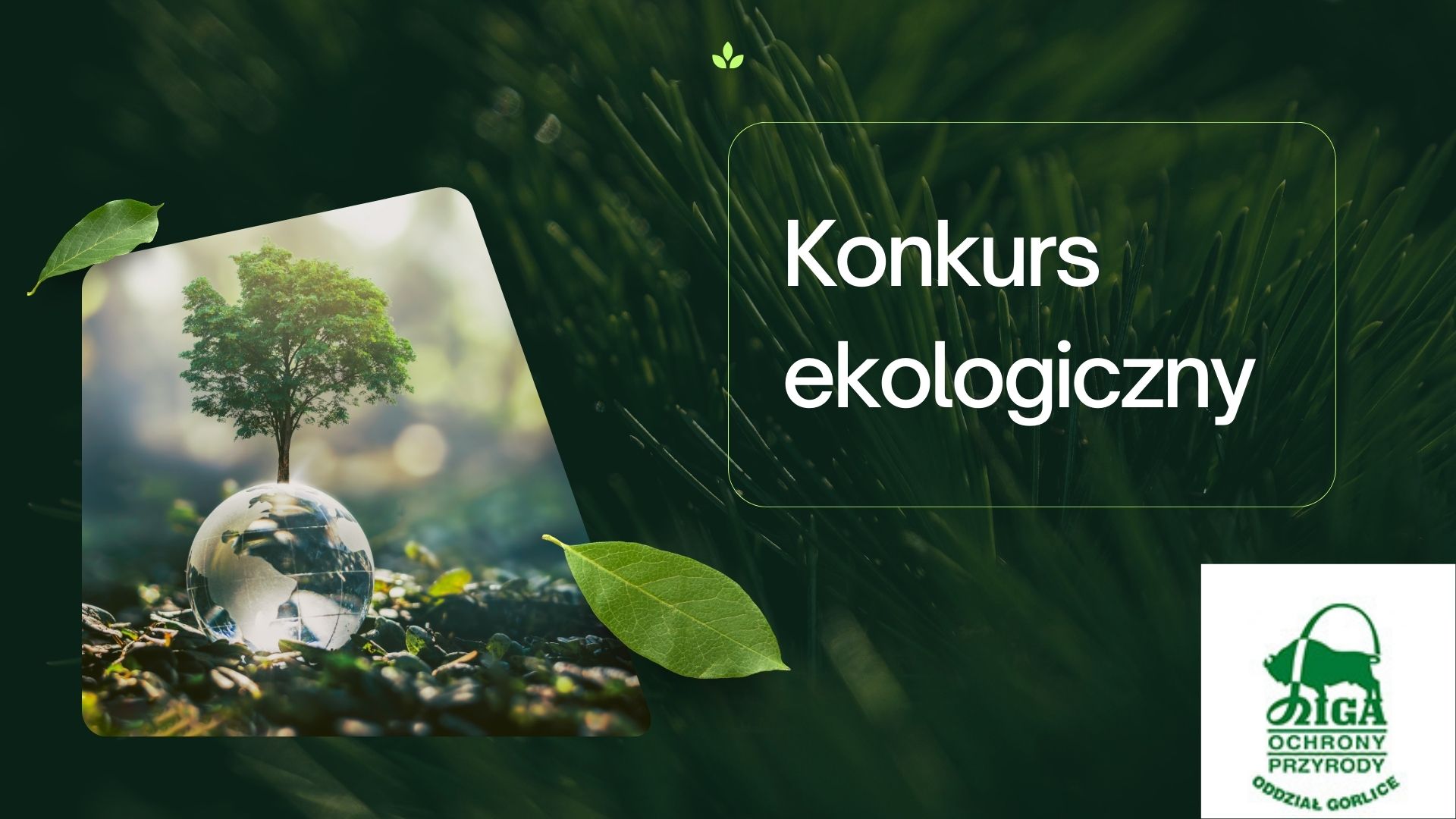 Konkurs ekologiczny