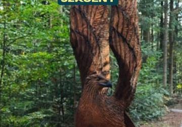 Ekologiczny rajd szkolny
