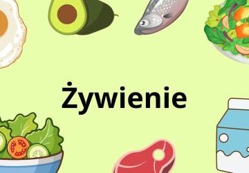 Informacja dotycząca żywienia – rok szkolny 2026/2027